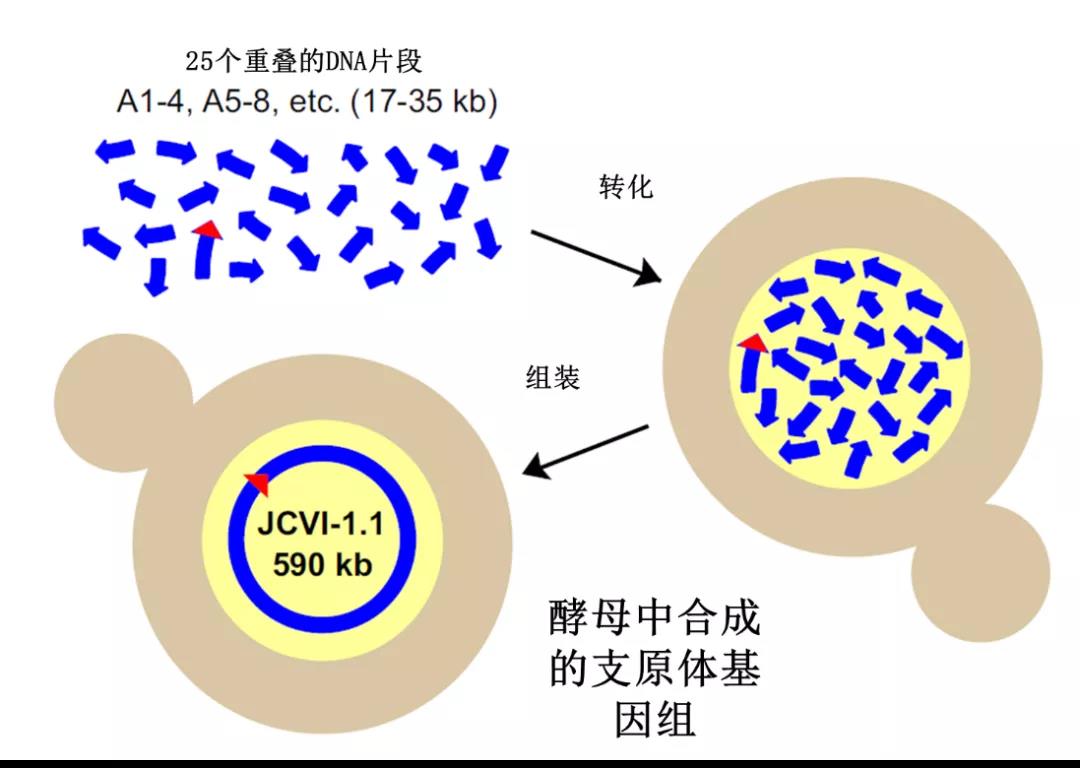 1625739121505492.jpg 微信图片_20210708181035.jpg
